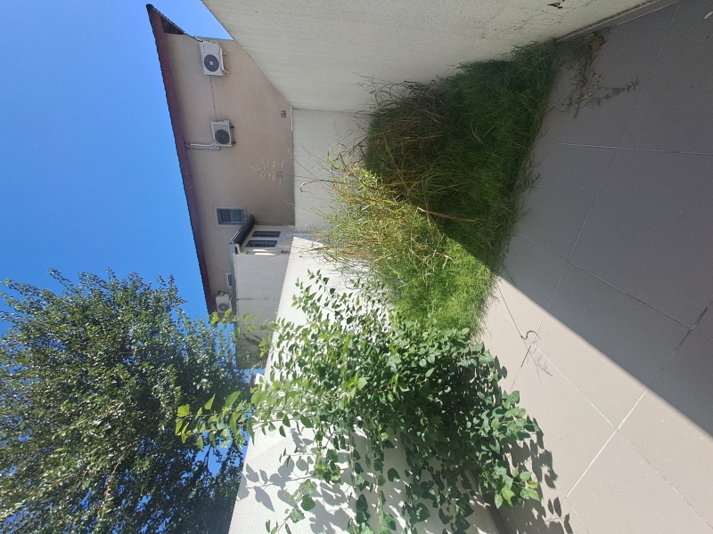 Foto del inmueble publicado